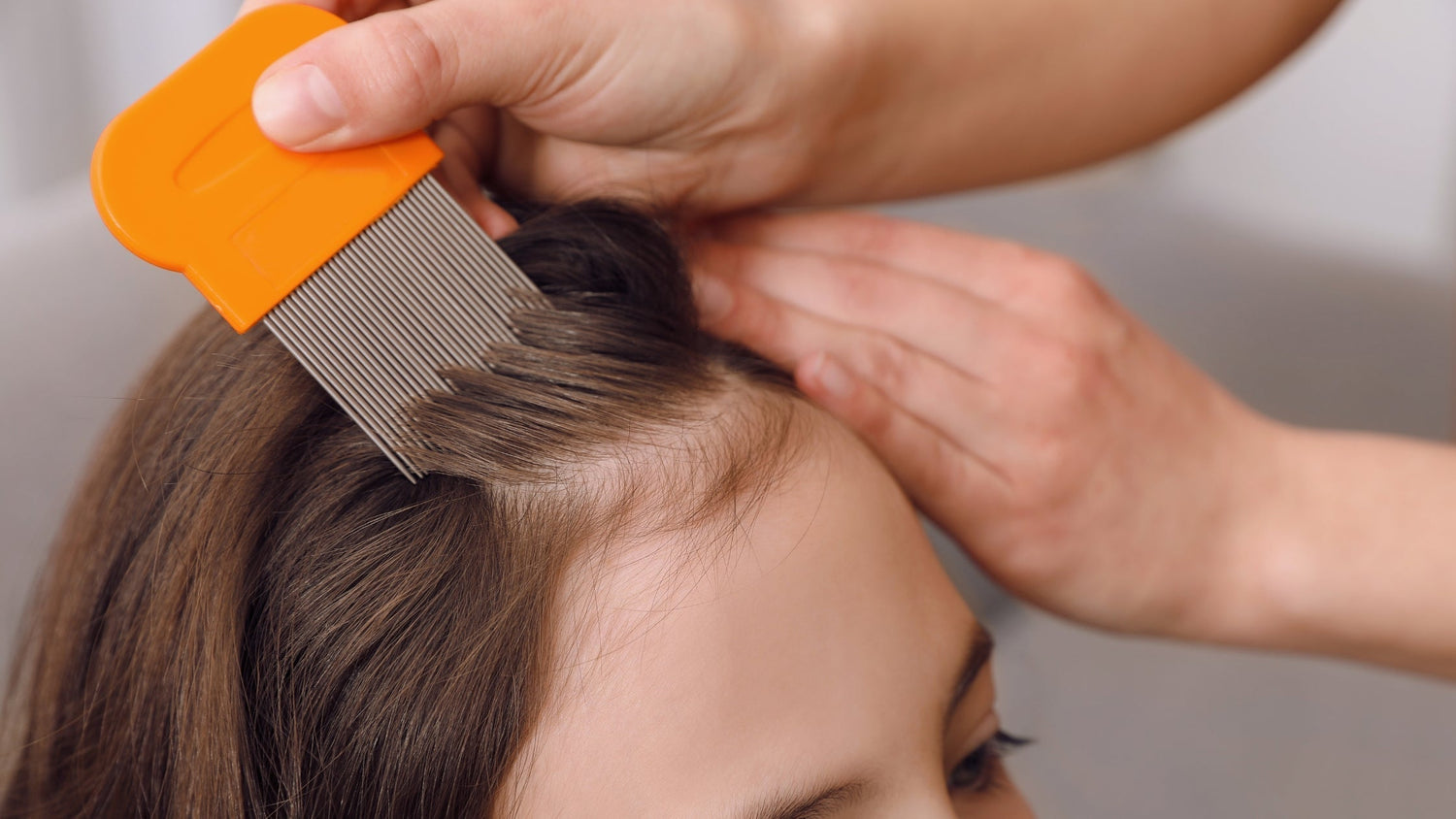 Eroon täistä luonnollisesti! - Täiden luonnonmukaisen karkottamisen ABC