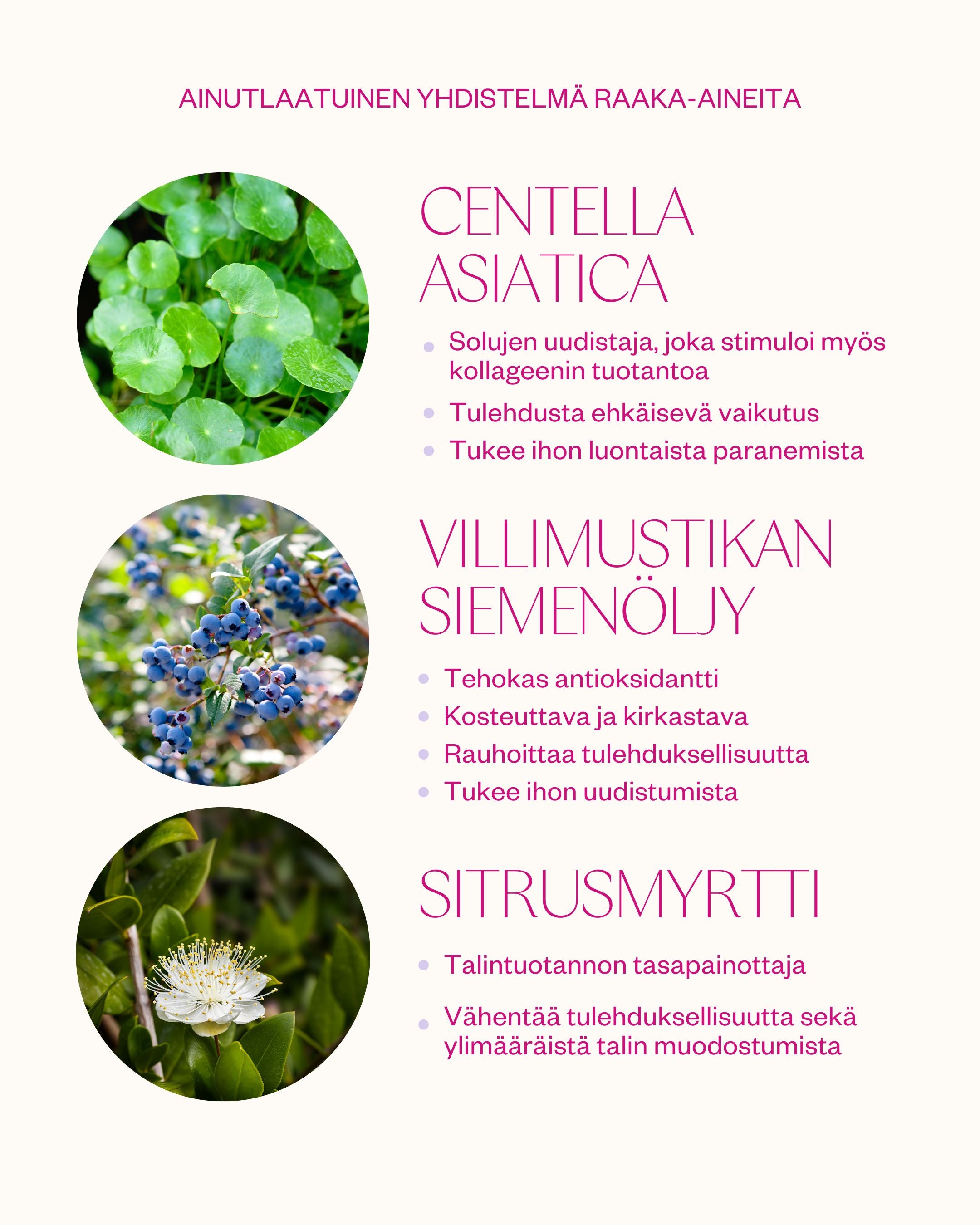 Bilberry & Centella Cream - kasvovoide normaalille ja rasvoittuvalle iholle