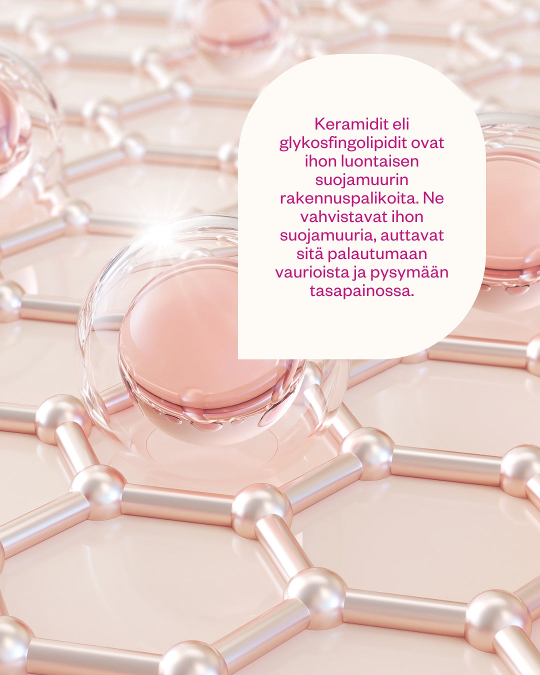 Ceramides & Probiotics Cream Cosmos Natural - korjaava herkän ihon kasvovoide (hajusteeton)