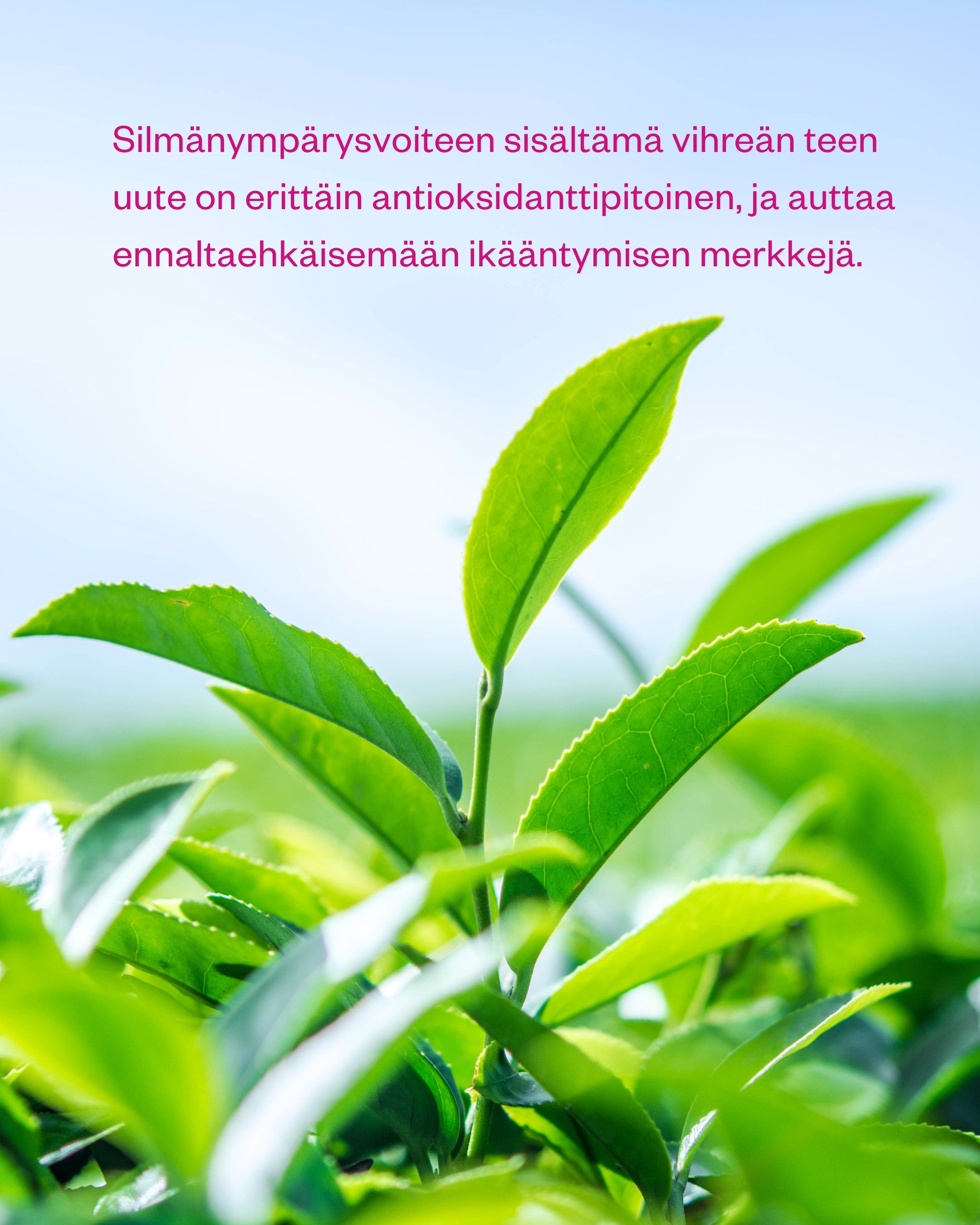 Silmänympärysvoide tummille silmänalusille ja ikääntymisen merkkien ennaltaehkäisyyn
