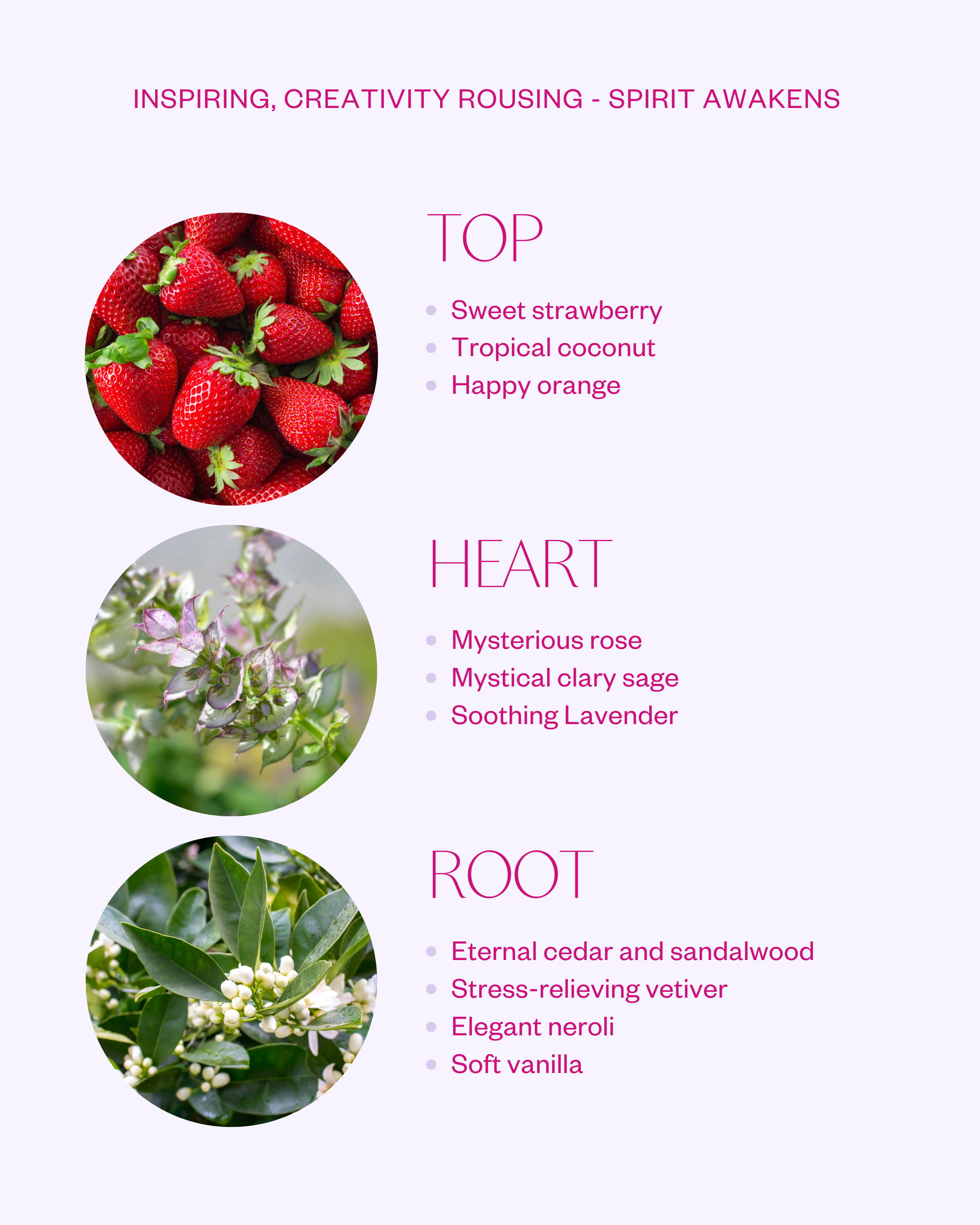 Spirit Awakens Perfume Oil ingredients