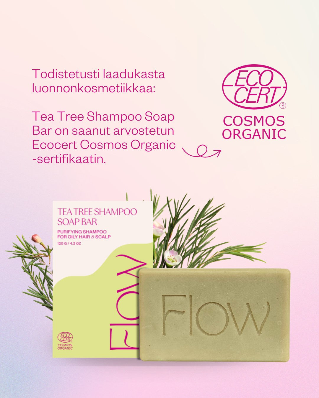 Tea Tree Shampoo Soap Bar teepuu palashampoo rasvoittuville hiuksille