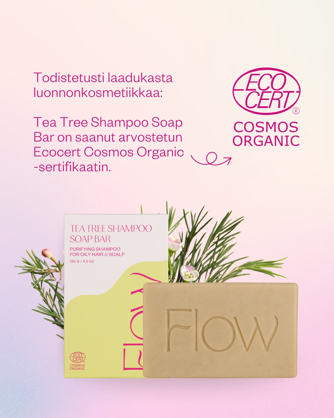 Tea Tree Shampoo Soap Bar teepuu palashampoo rasvoittuville hiuksille