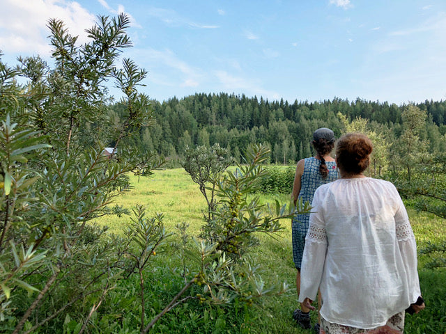 Tuottajia Flow Cosmeticsin raaka-aineiden takana: Sillankorvan luomutila