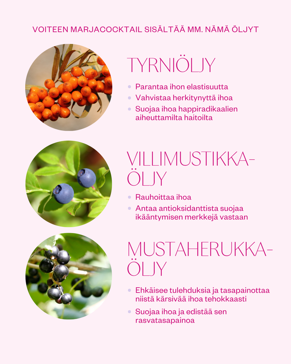 Arctic Beauty Cream kasvovoide kuivalle iholle