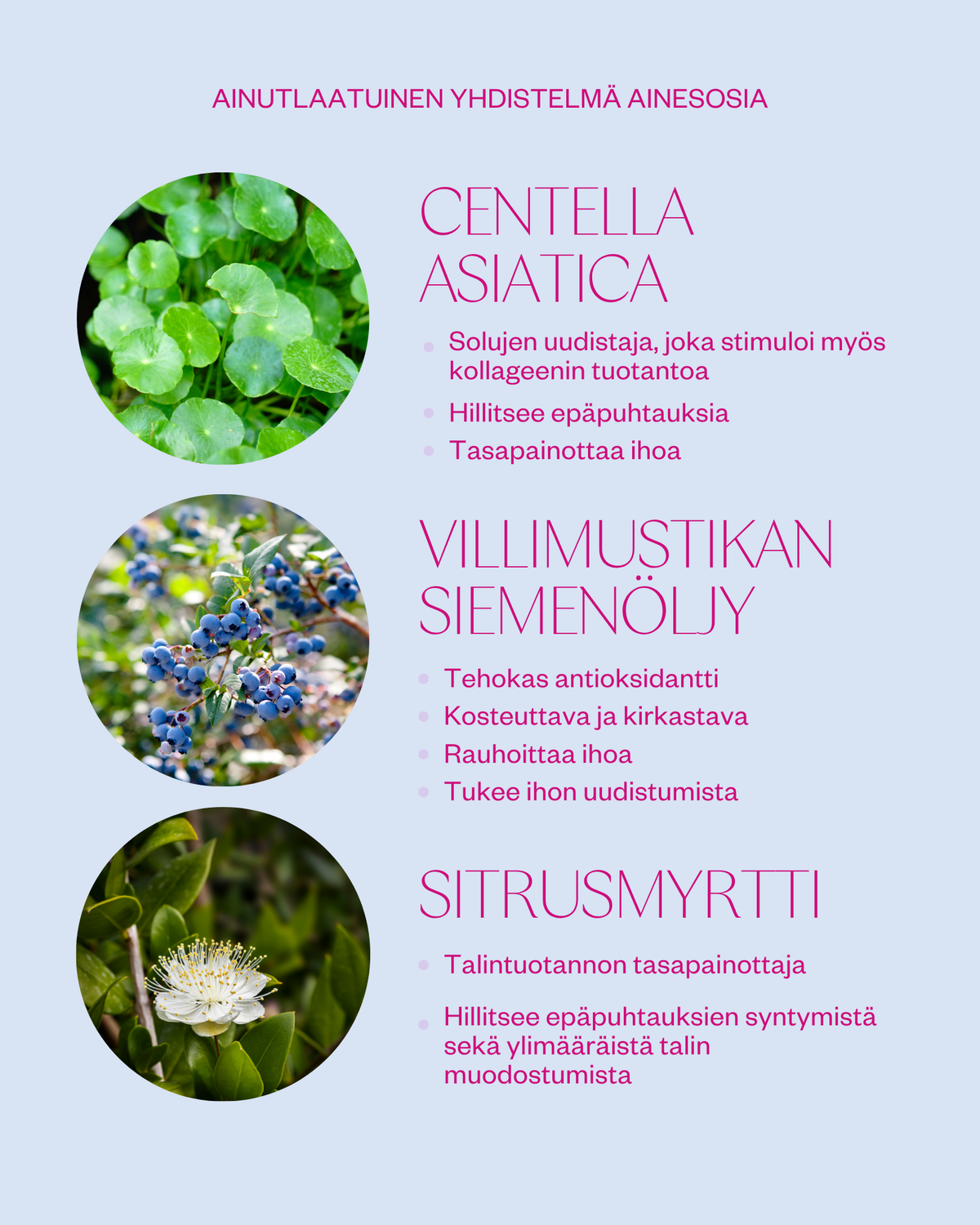 Bilberry & Centella Cream - kasvovoide normaalille ja rasvoittuvalle iholle