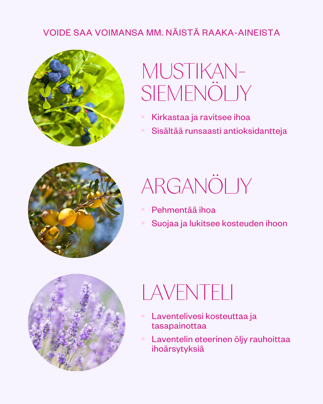 Bilberry Moisture Cream -kasvovoide normaalille, seka- ja rasvaiselle iholle