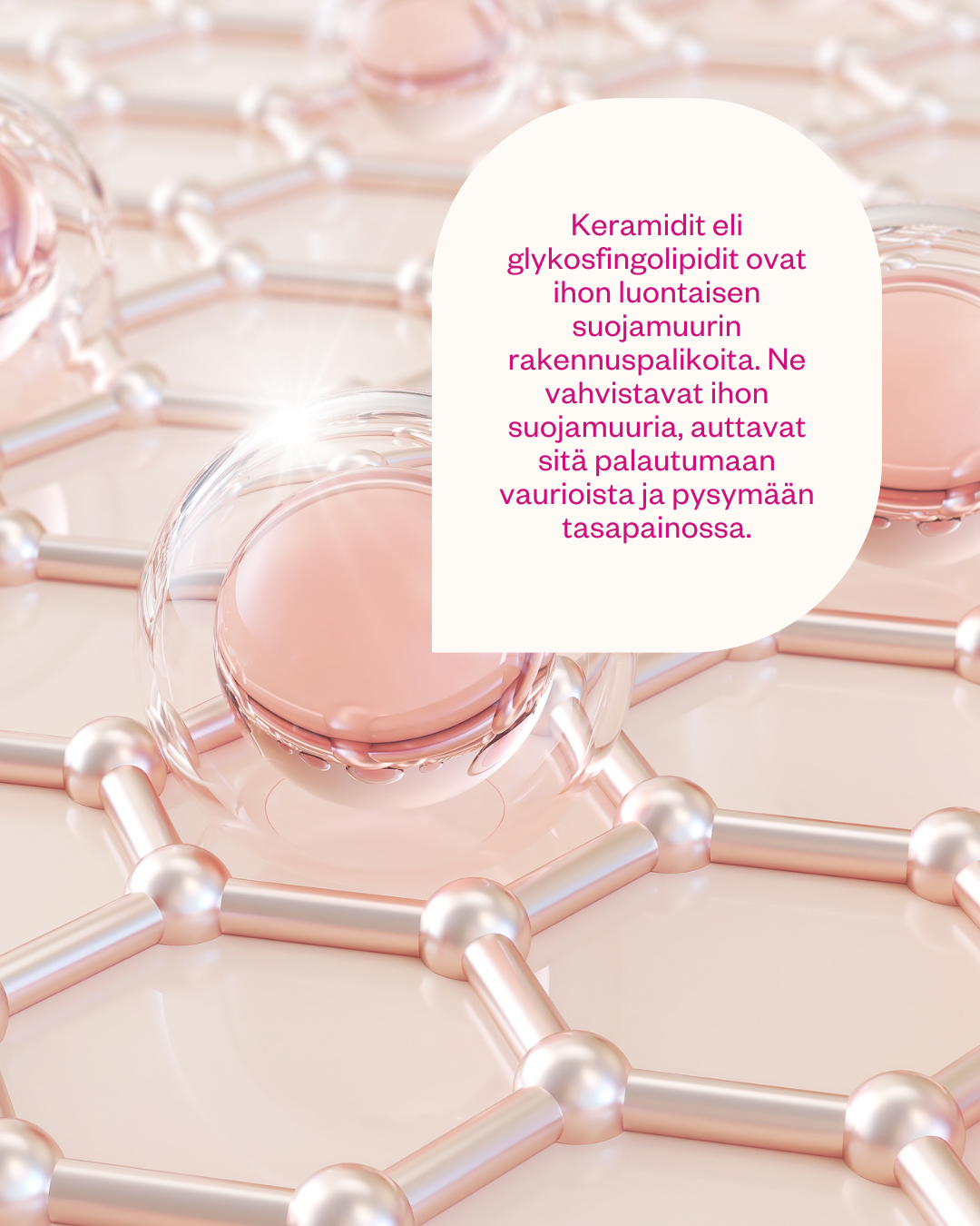 Flow Cosmetics kotimaisen luonnonkosmetiikan uutuus: Ceramides & Probiotics Cream - korjaava herkän ihon kasvovoide (hajusteeton)