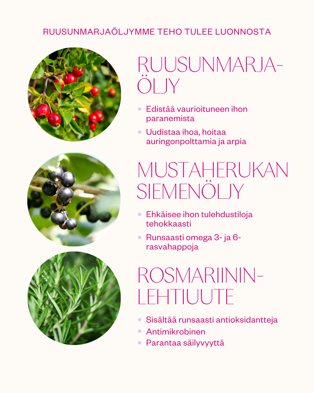 Rosehip Intensive Treatment Oil -hoitoöljy herkälle ja haasteelliselle iholle